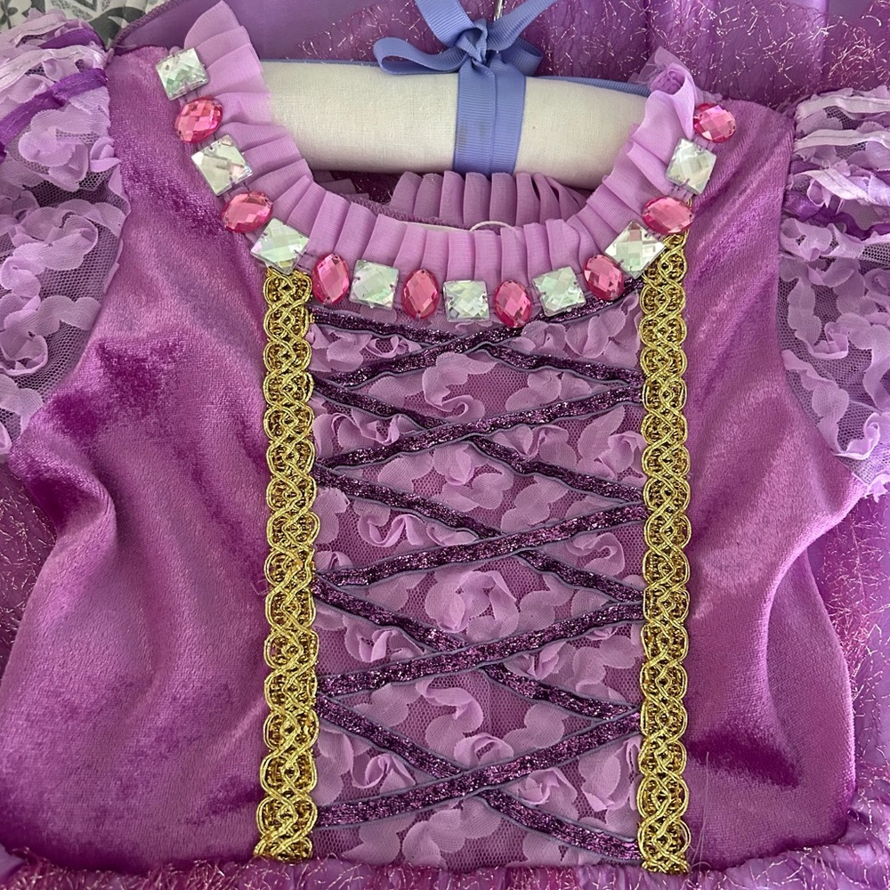 Rapunzel Disney Princess Dress & Accessories